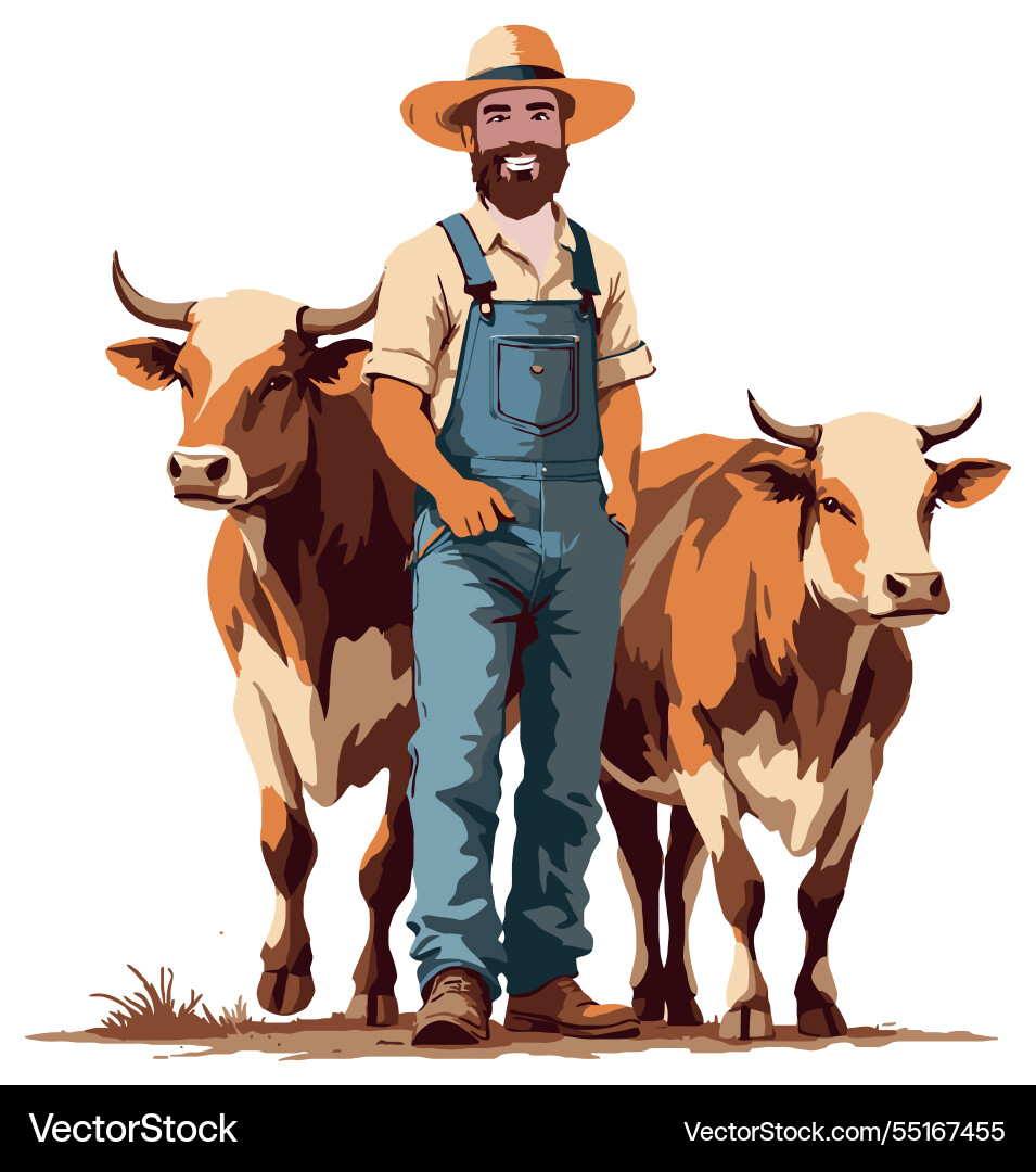 Smiling farmer standing with two cows in a field Vector Image