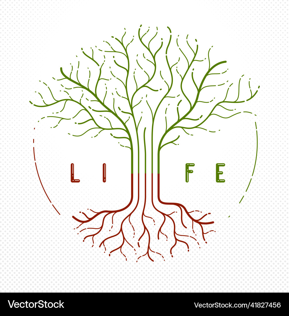 Tree of life and death the cycle vector image