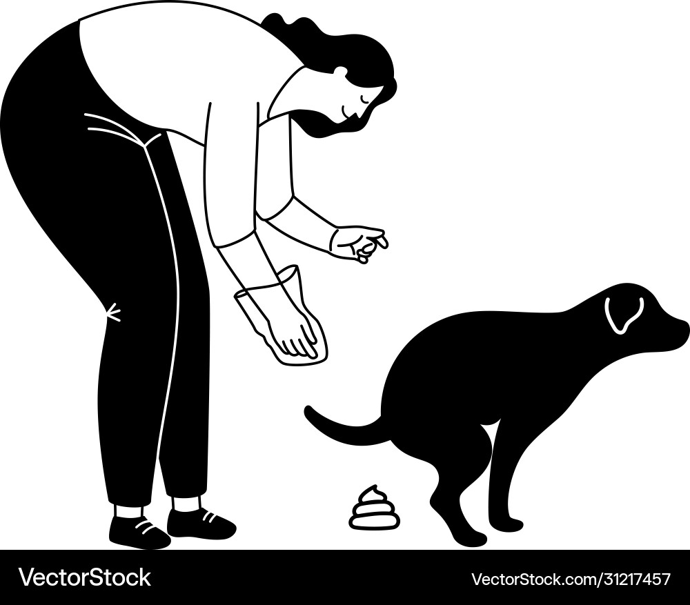 Clean after dog silhouette vector image