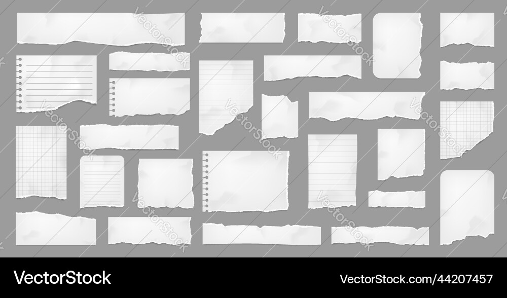 White torn paper rip pieces and page strips Vector Image