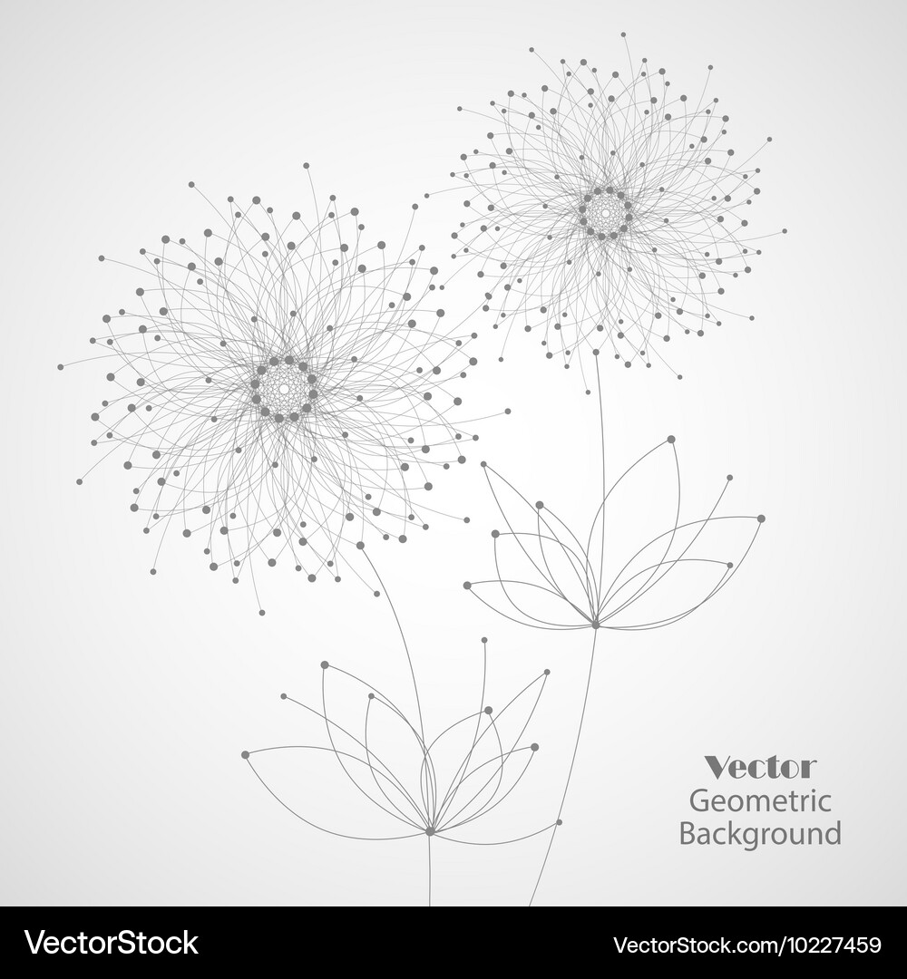 Geometric pattern with connected lines and dots Vector Image