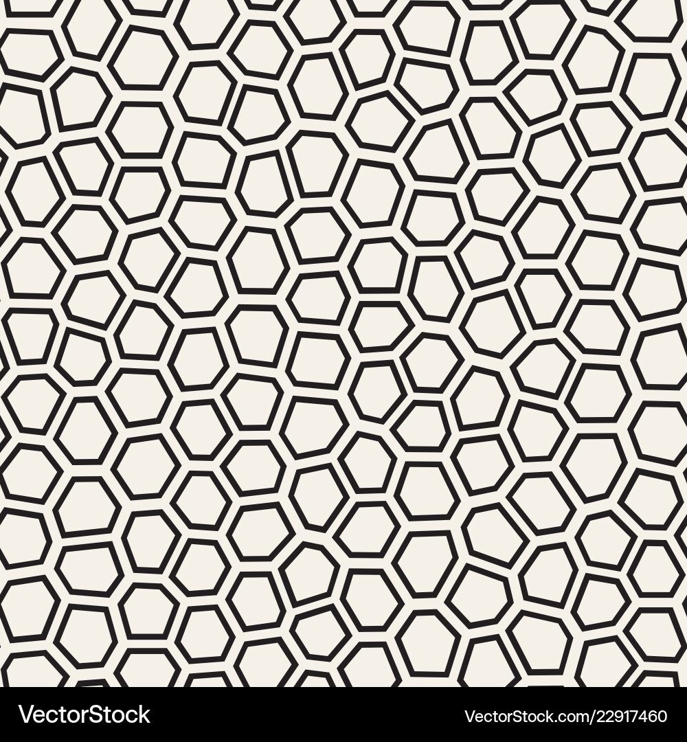Irregular Mosaic Pattern - Chaotic Lines vector image