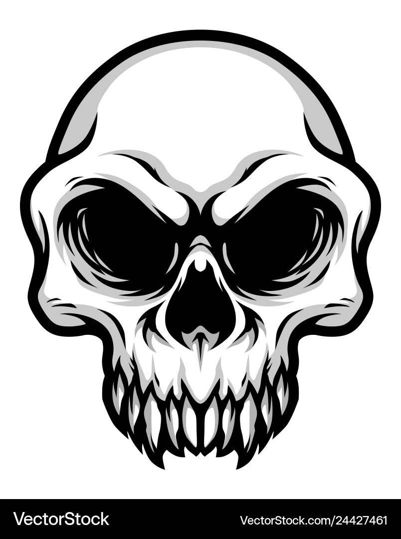 Detailed Skull Head - Black and White Vector Image