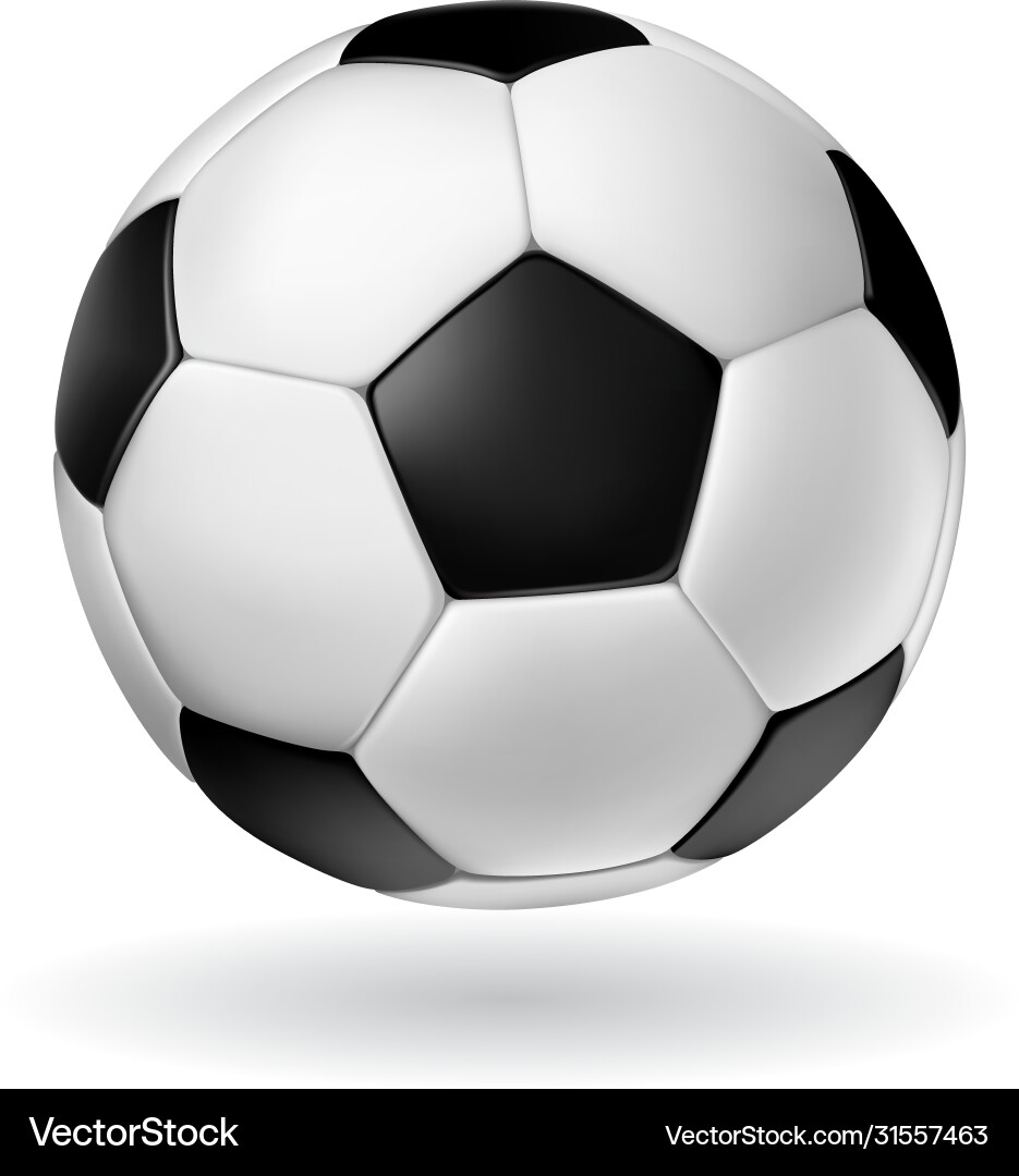 Isolated Soccer Ball Vector Image