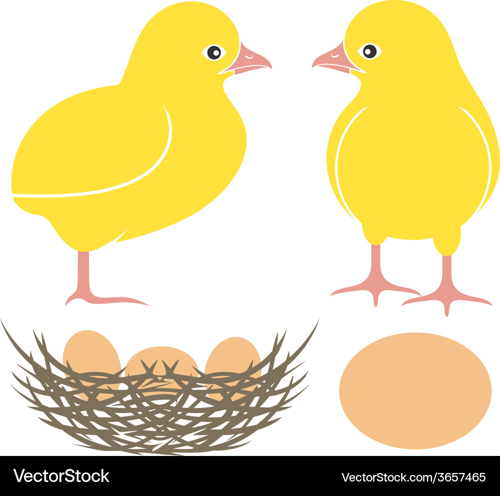 Cute Chicken Chickens Vector Image