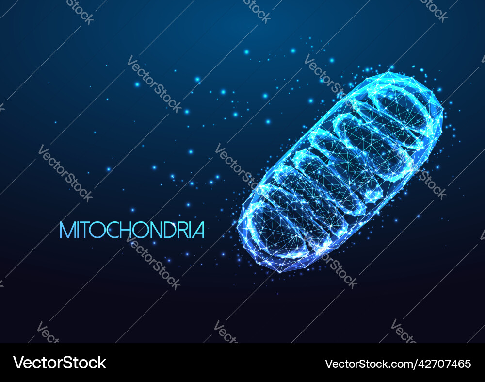Futuristisch mitochondria eukaryotic organelle Futuristisch mitochondria eukaryotic organelle vektorbild