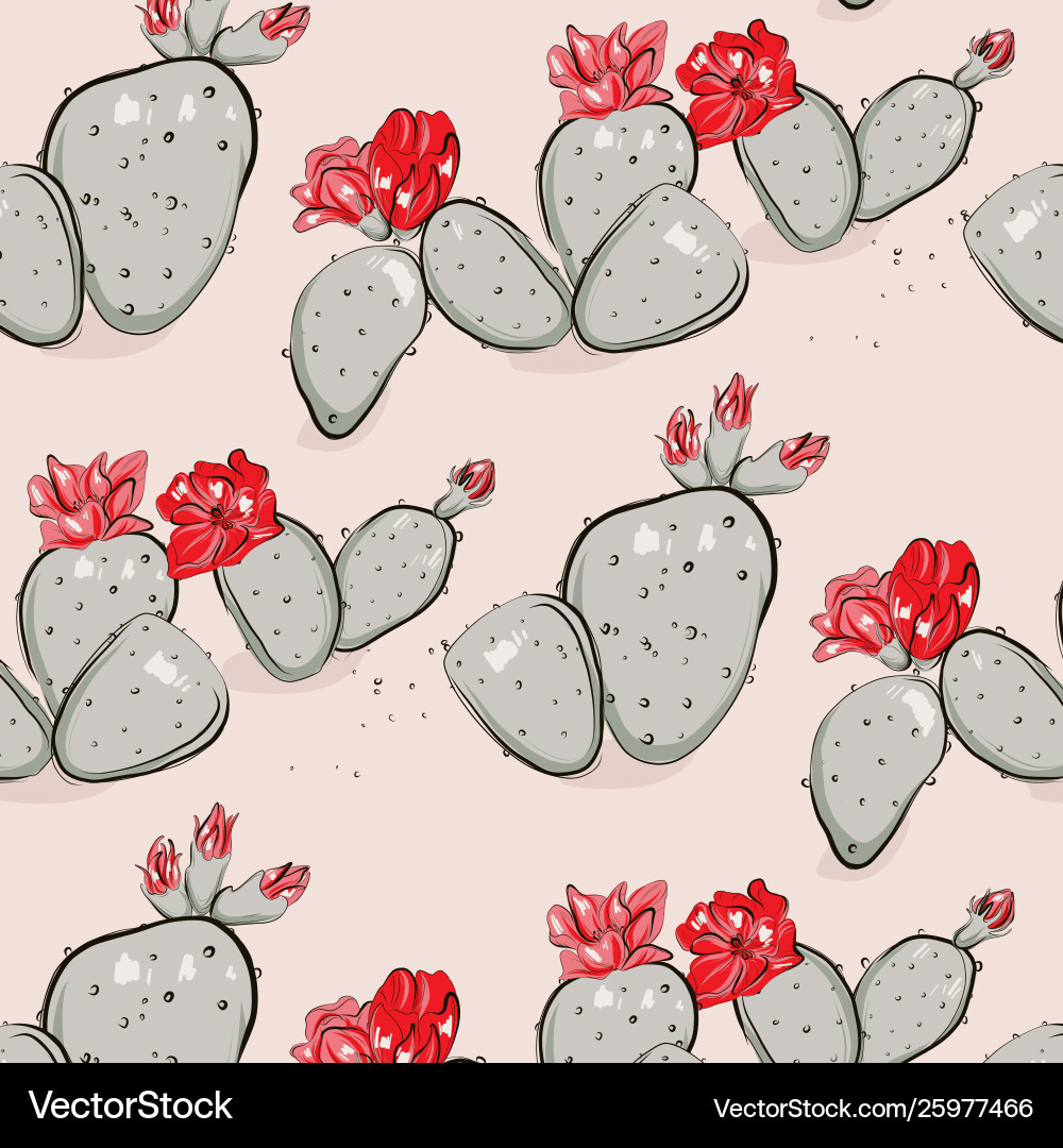 Cactus bloom red pink summer pattern hand-drawn vector image