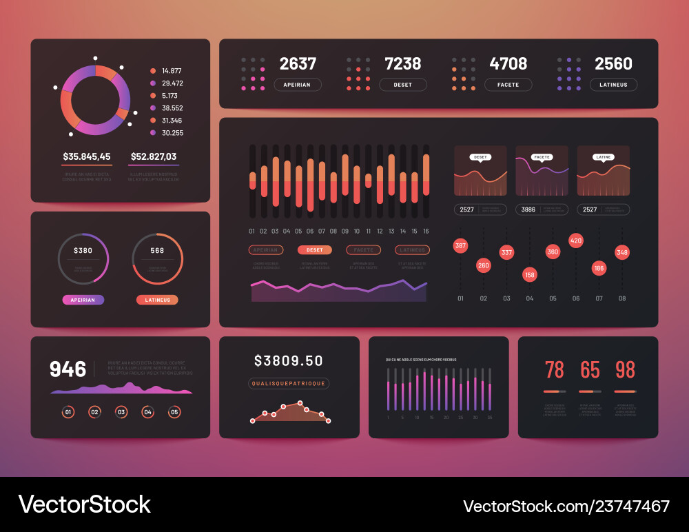 Data Analytics Dashboard Infographic vector image