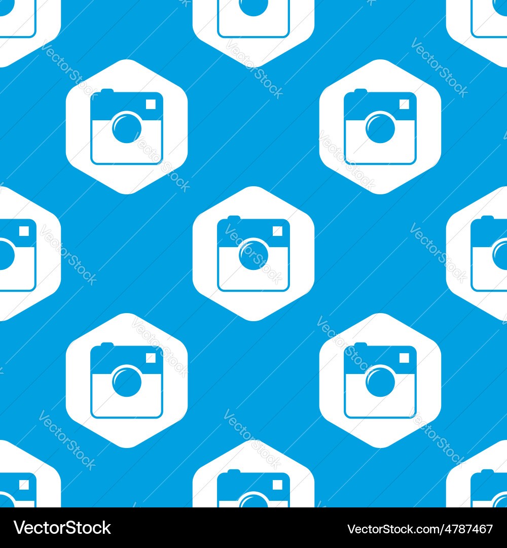 Square camera hexagon pattern vector image