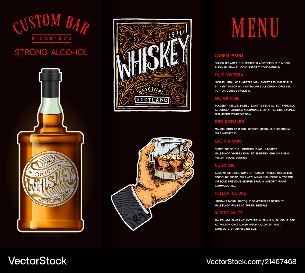 Alcohol drink in a bottle banner or brochure Alcohol drink in a bottle banner or brochure vector image