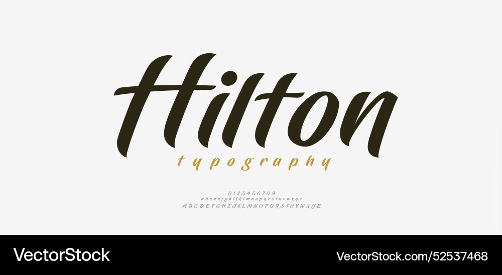 Elegant Brush Script Font - Lettering Set vector image