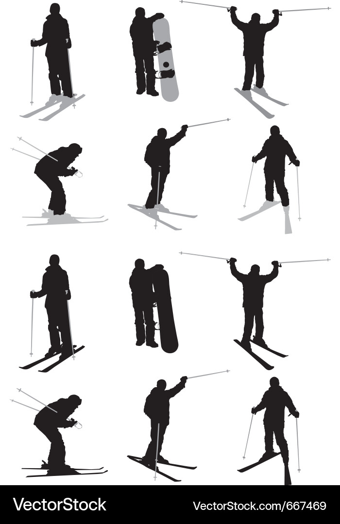 Winter Skiing Adventure vector image
