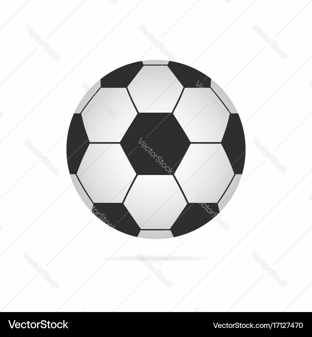 Soccer Ball Icon with Shadow Vector Image