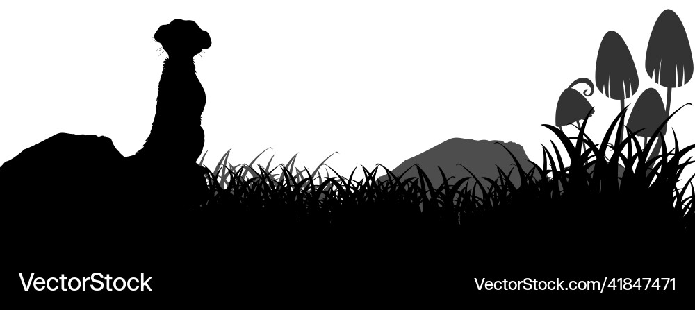 Silhouette Tier in der Natur weiß Hintergrund Silhouette Tier in der Natur weiß Hintergrund vektorbild