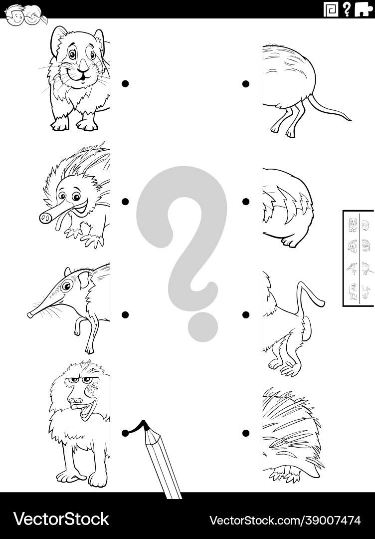 Spielhälften Tiere Bilder Malbuch Spielhälften Tiere Bilder Malbuch vektorbild