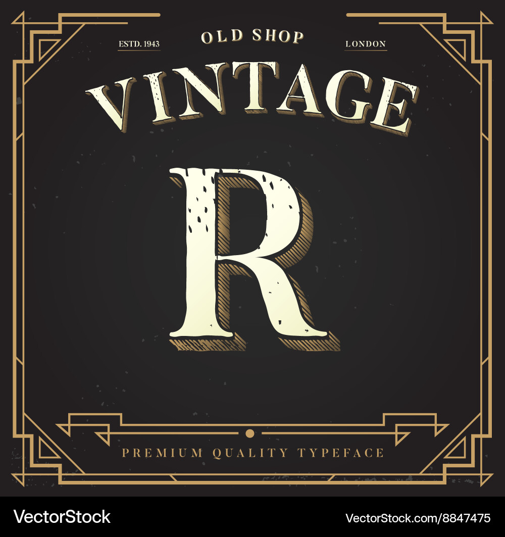 Elegant Script Lettering Font vector image