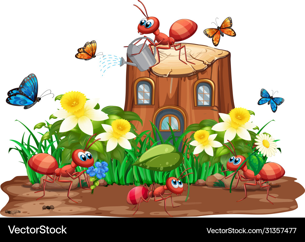 Scene with ants and butterflies in garden vector image