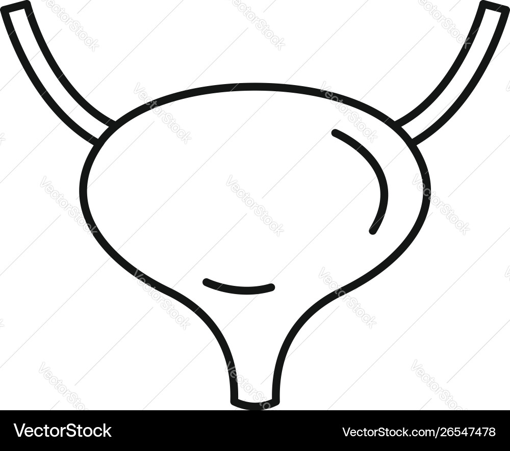 Bladder icon outline style Bladder icon outline style vector image