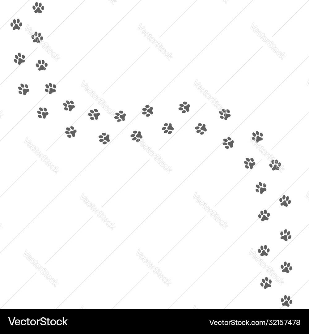 Traces animal vector image