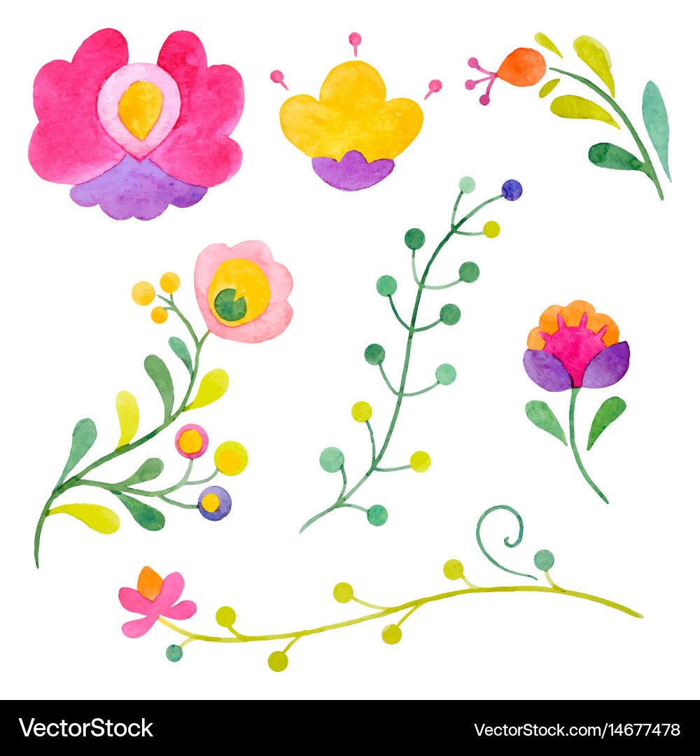 Watercolor Floral Elements Vector Image