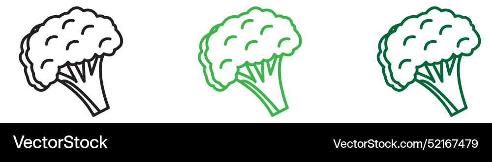 Broccoli icon logo set collection for web app ui Vector Image