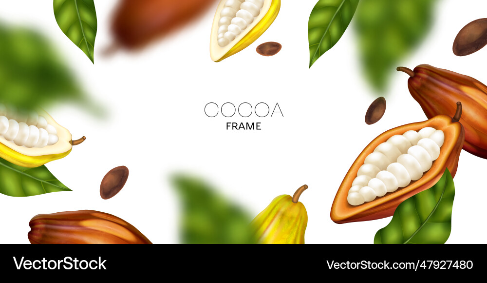 Cocoa Pod Frame - Realistic vector image
