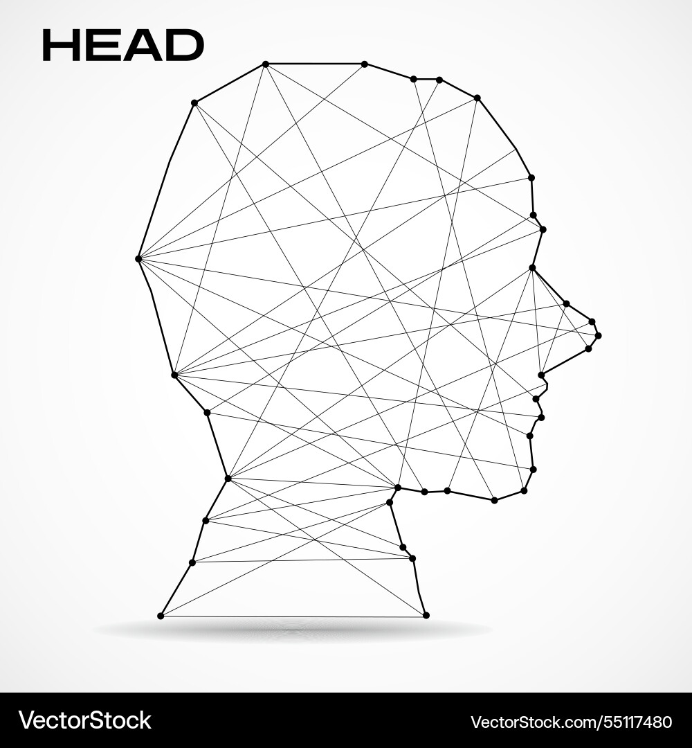 Polygonal abstract head with connected lines Polygonal abstract head with connected lines vector image
