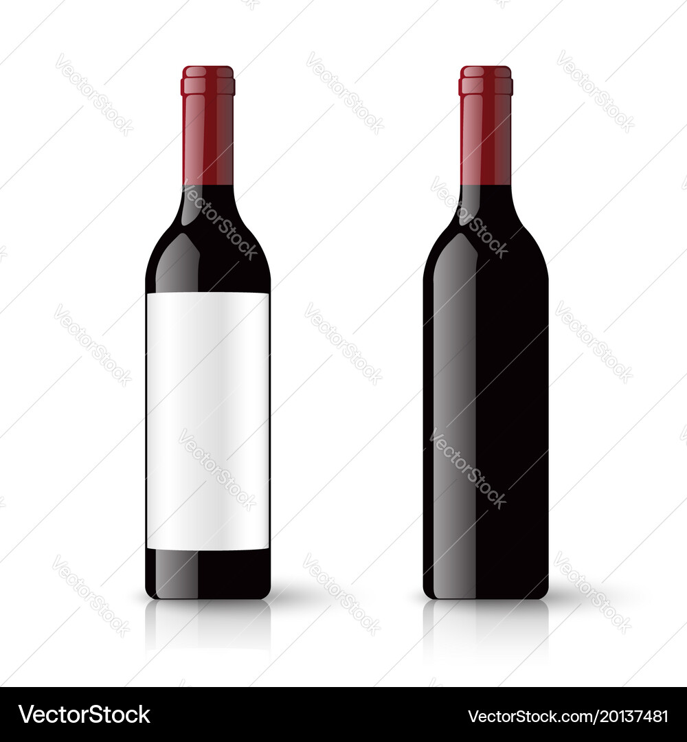 Red Wine Bottles and Empty Labels vector image