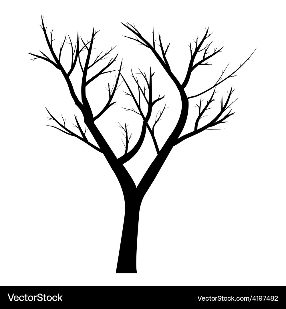 Trees with dead branch Vector Image
