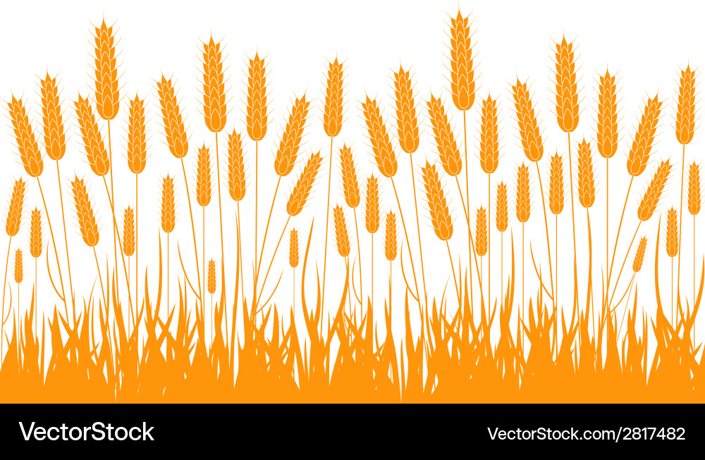 Wheat Silhouette Field Royalty Free Vector Image