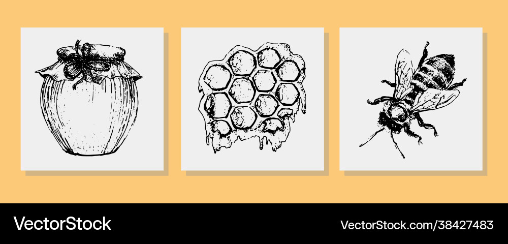 Honey set vintage hand drawn engraved organic Honey set vintage hand drawn engraved organic vector image