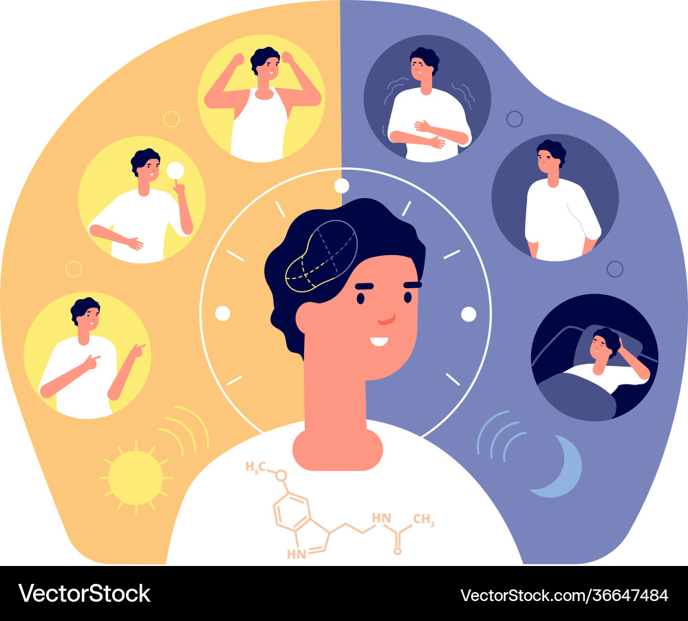 Day night rhythm natural sleep schedule Royalty Free Vector