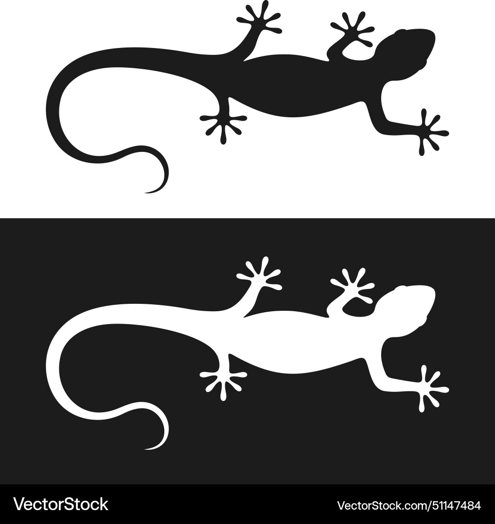 Lizard Royalty Free Vector Image - VectorStock