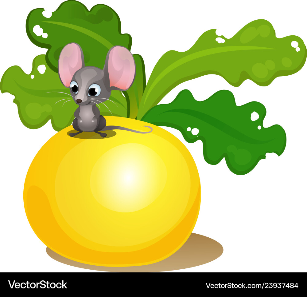 Ripe turnips and a small mouse isolated on white Ripe turnips and a small mouse isolated on white vector image
