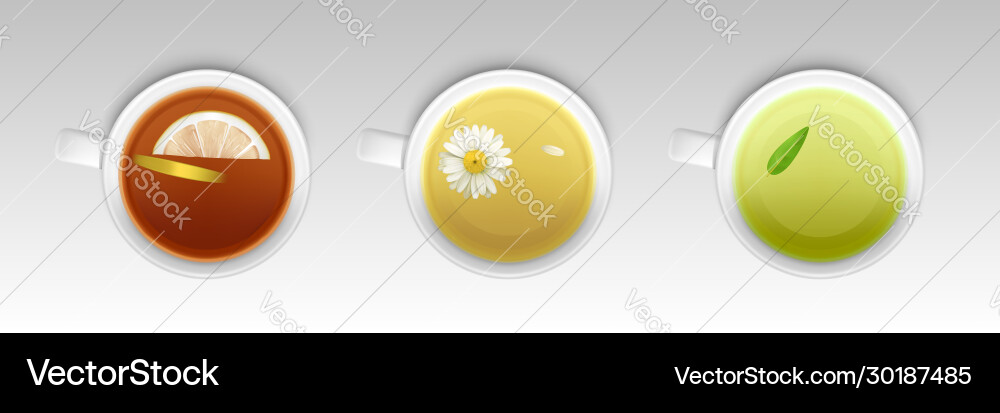 Cups with herbal tea hot healthy drink vector image