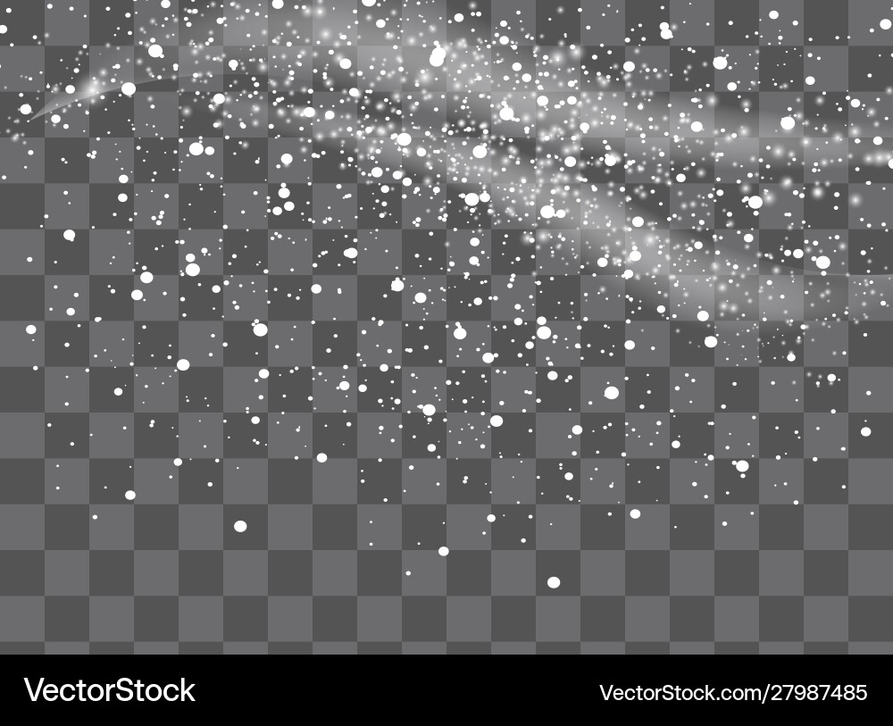 Falling snow overlay background snowfall winter Falling snow overlay background snowfall winter vector image