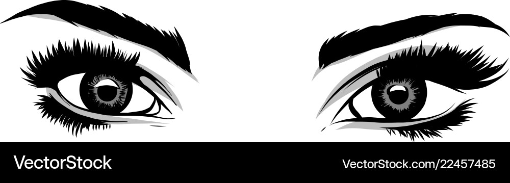 Schöne Frauen Augen mit Make Schöne Frauen Augen mit Make vektorbild