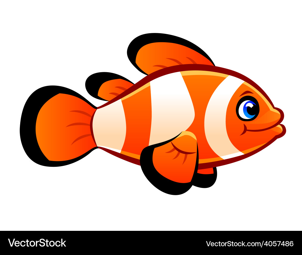 Colorful Clownfish Vector Image