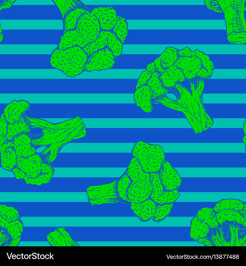 Seamless pattern with broccoli background vector image