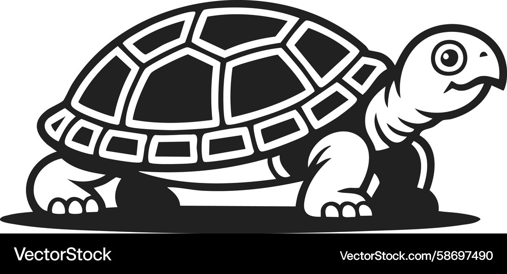 Turtle shell tortoise engraved design reptile Vector Image
