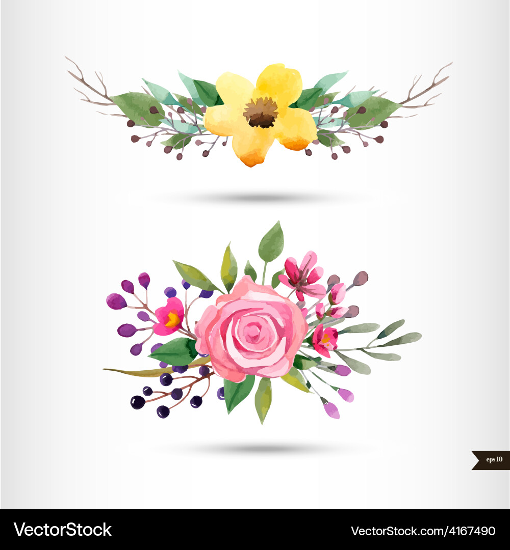 Watercolor Floral Branch & Leaf Vector Image
