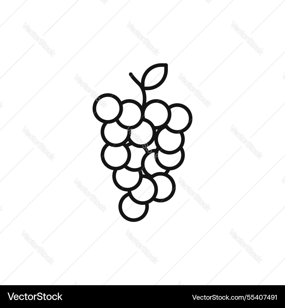 Grape icon simple thin line Grape icon simple thin line vector image