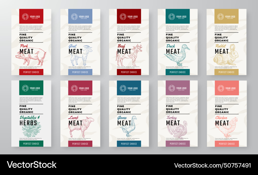 Organic meat poultry vegetables packaging vector image