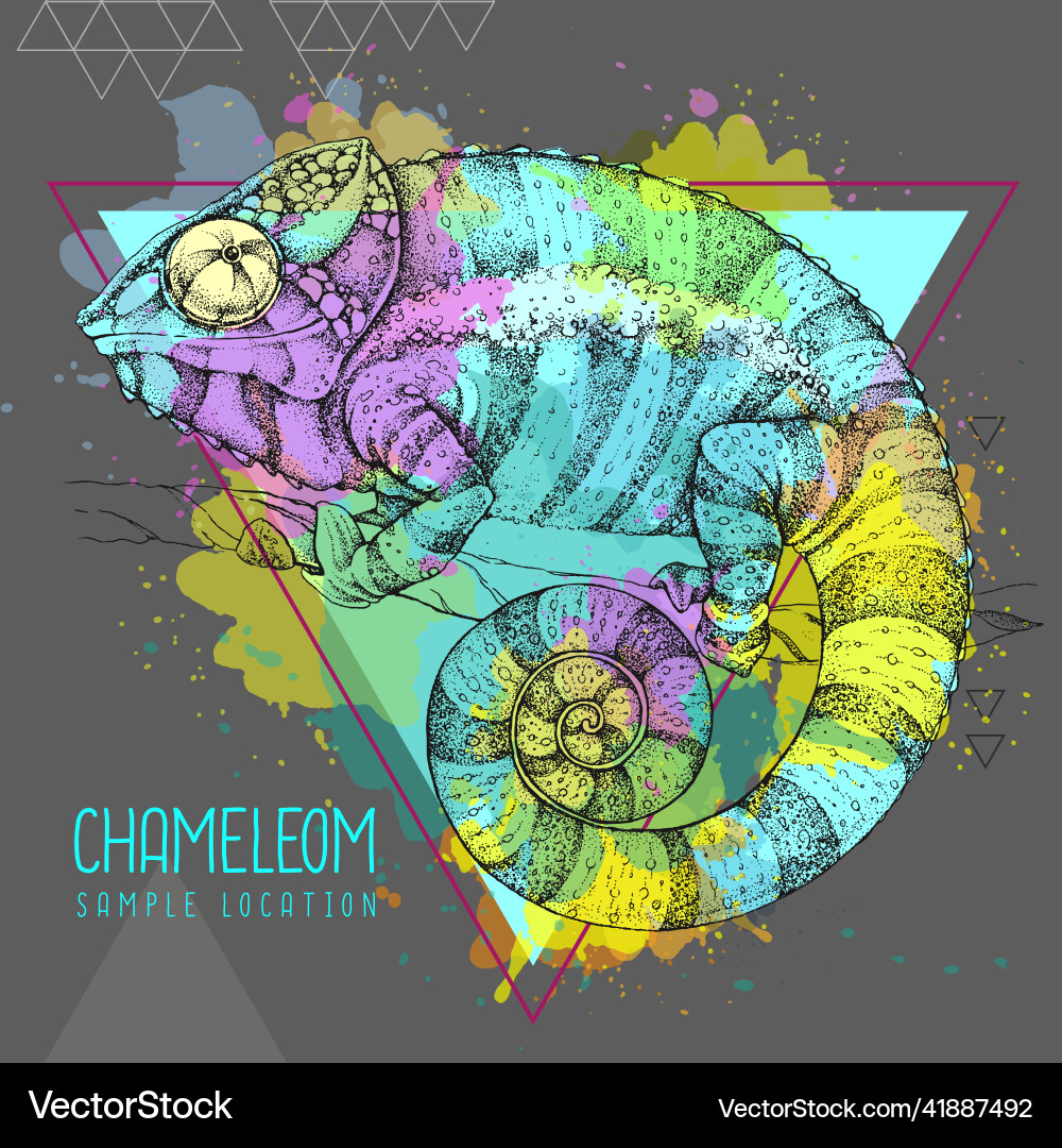 Hand drawing chameleon on watercolor background gr Hand drawing chameleon on watercolor background gr vector image