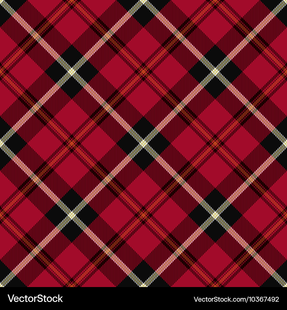 Red and Black Tartan Pattern vector image