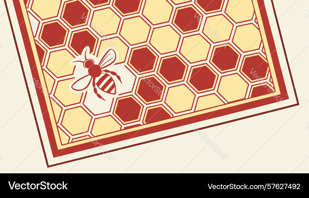 Seamless honeycomb pattern background with red vector image