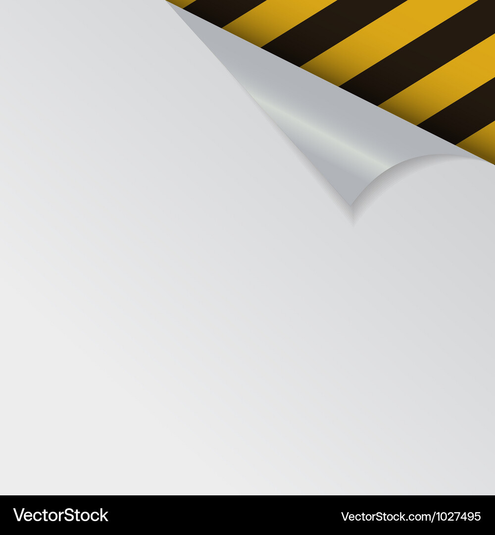 Papers with different corner and place for your Vector Image