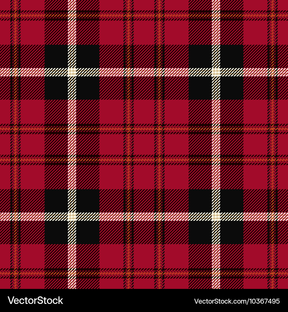 Red and White Tartan Pattern vector image