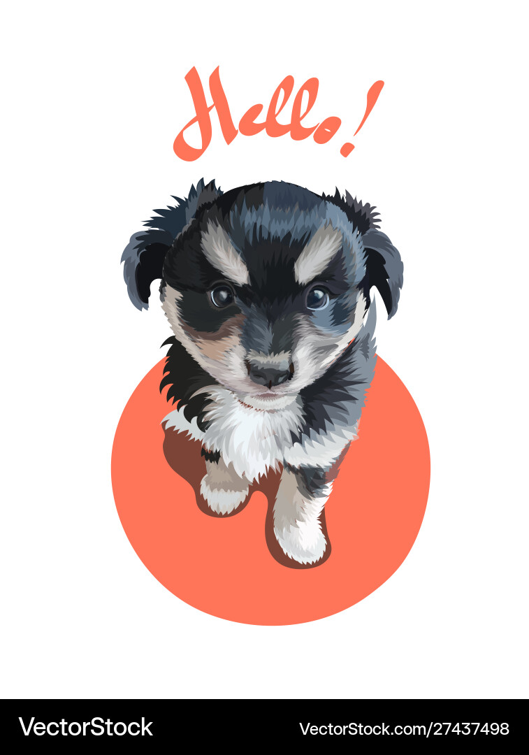 Funny puppy hello lettering quote t-shirt print Funny puppy hello lettering quote t-shirt print vector image