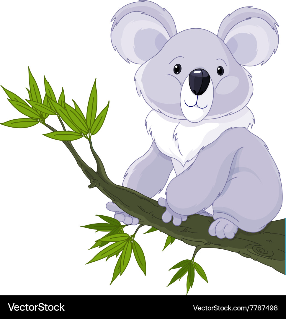 Koala on a tree Royalty Free Vector Image - VectorStock